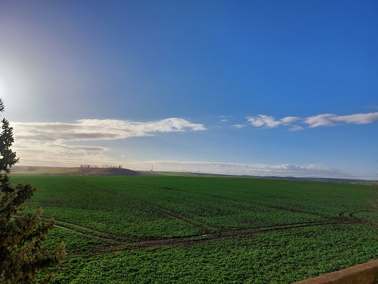 details-immobilie-10323